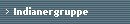 Indianergruppe