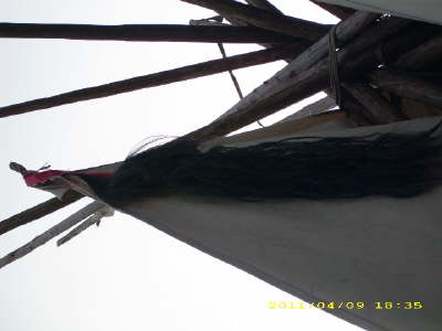 JD500896
